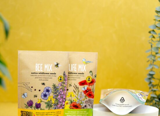 pexels-bagsandpouches-sg-823736819-26493134